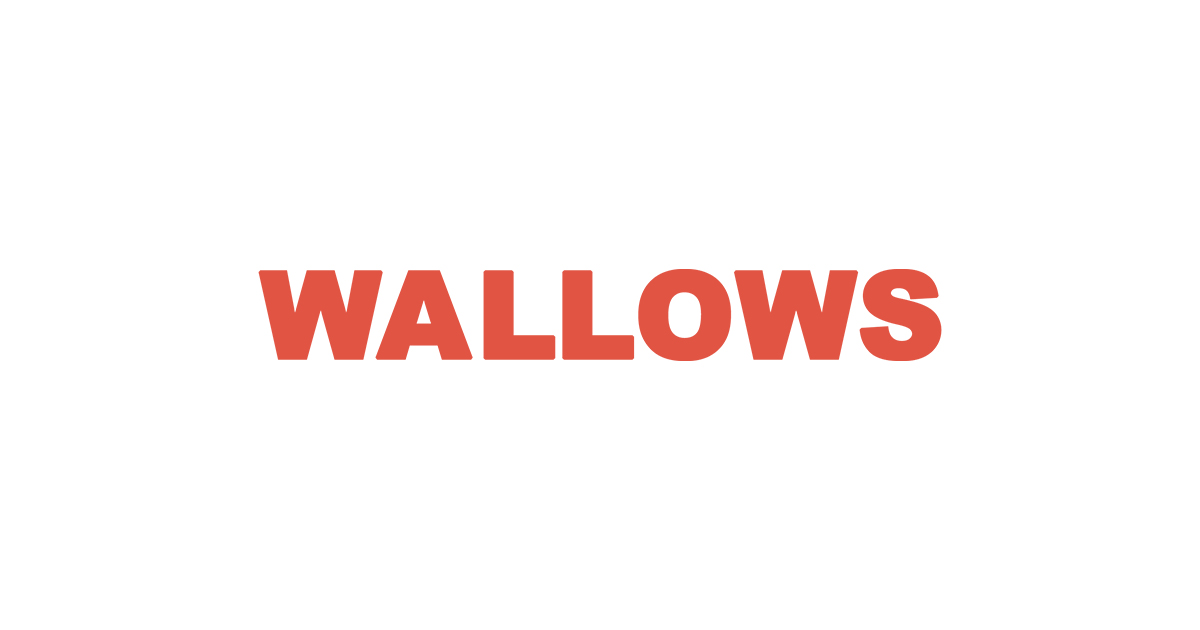 Pre save. Wallows logo. Wallows Spring. Pictures of girls wallows. Wallows logo PNG.